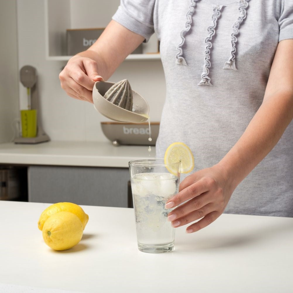Citrus press with handle and spout