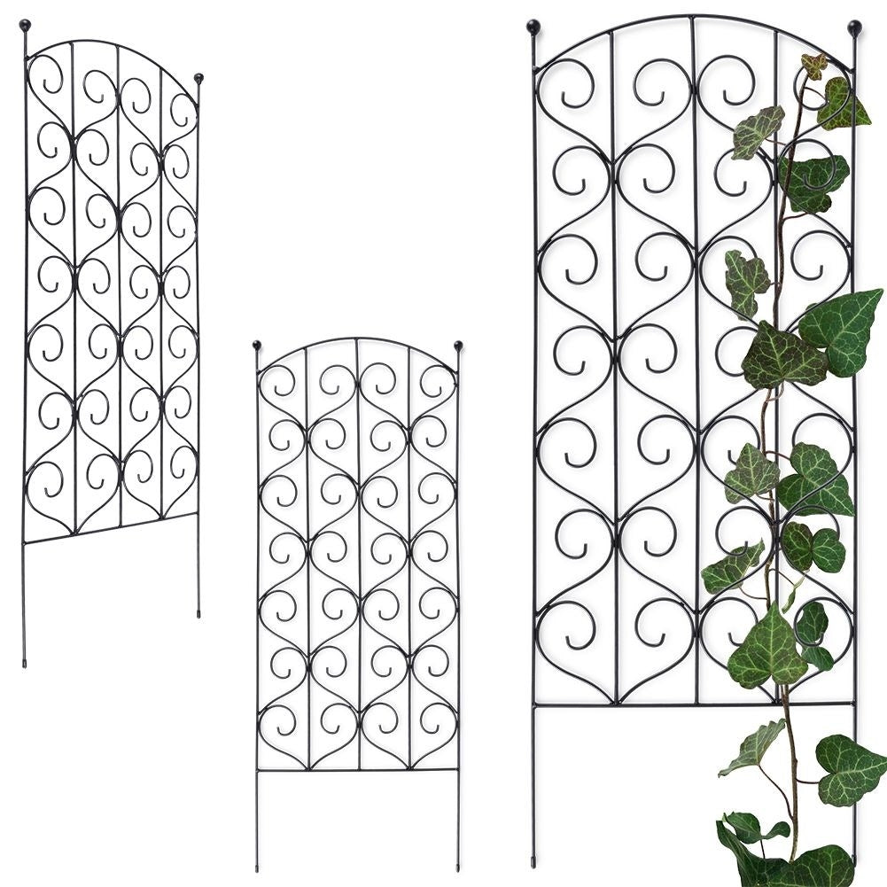 Climbing plant support in black metal for optimal cultivation
