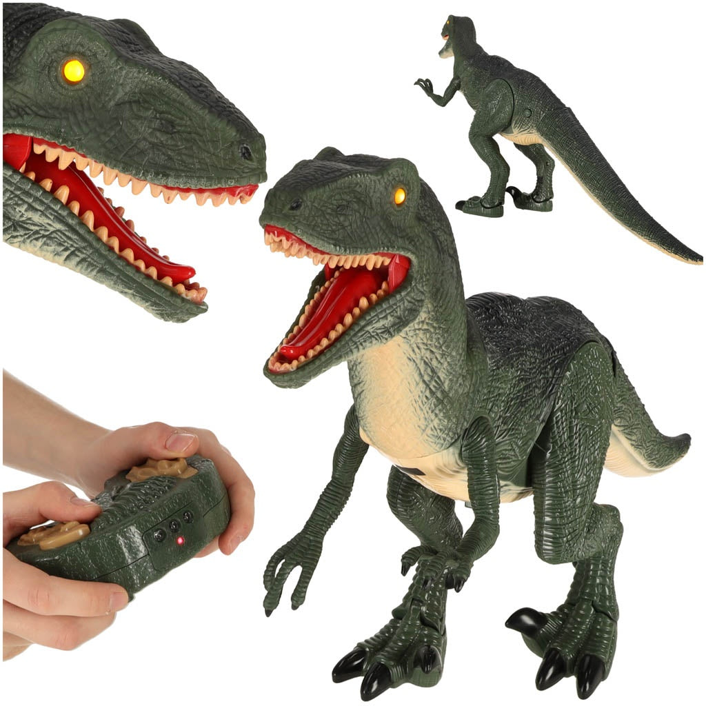 Controlled RC Velociraptor dinosaur + sounds