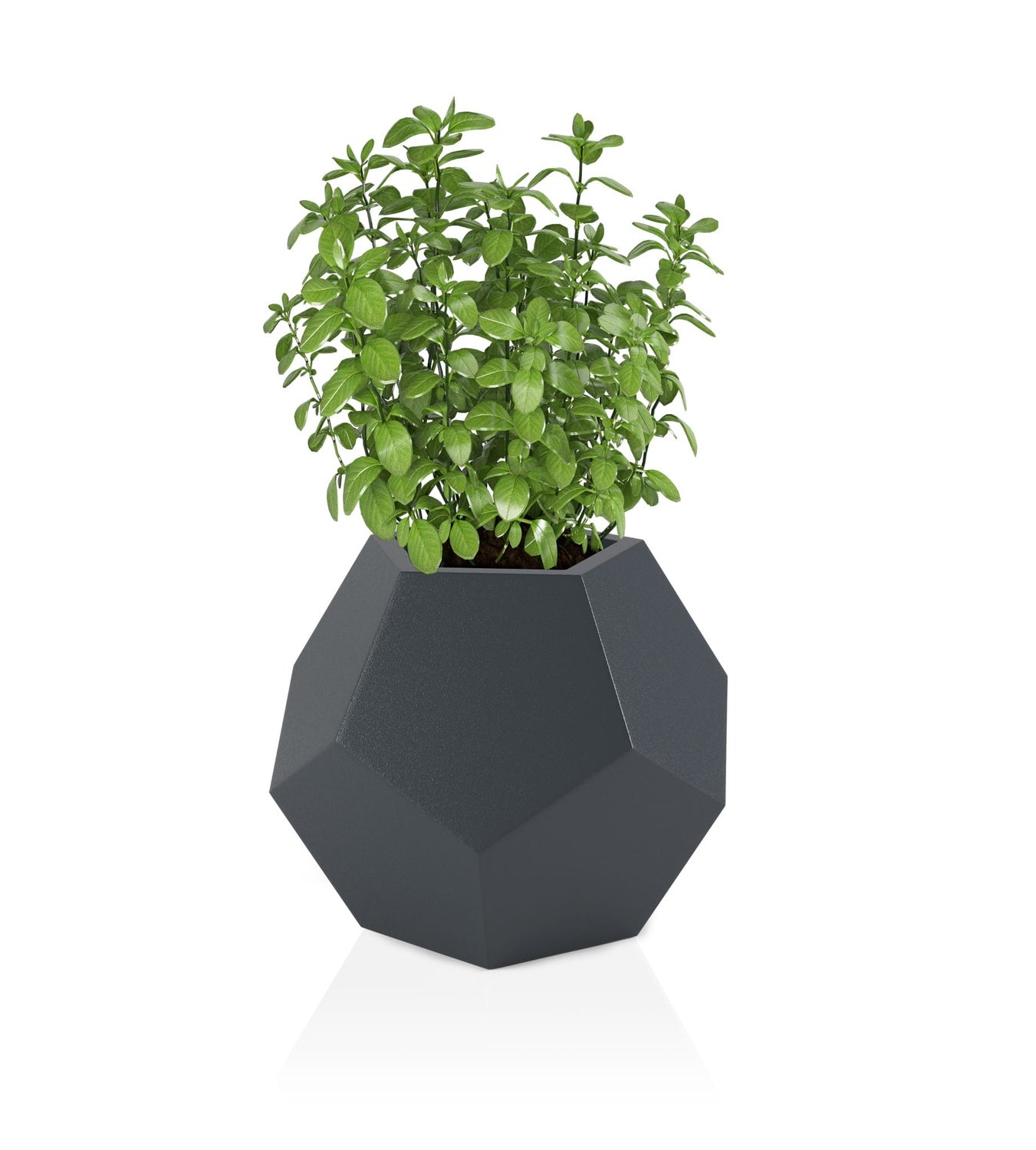 Designer pot ALMA Anthracite