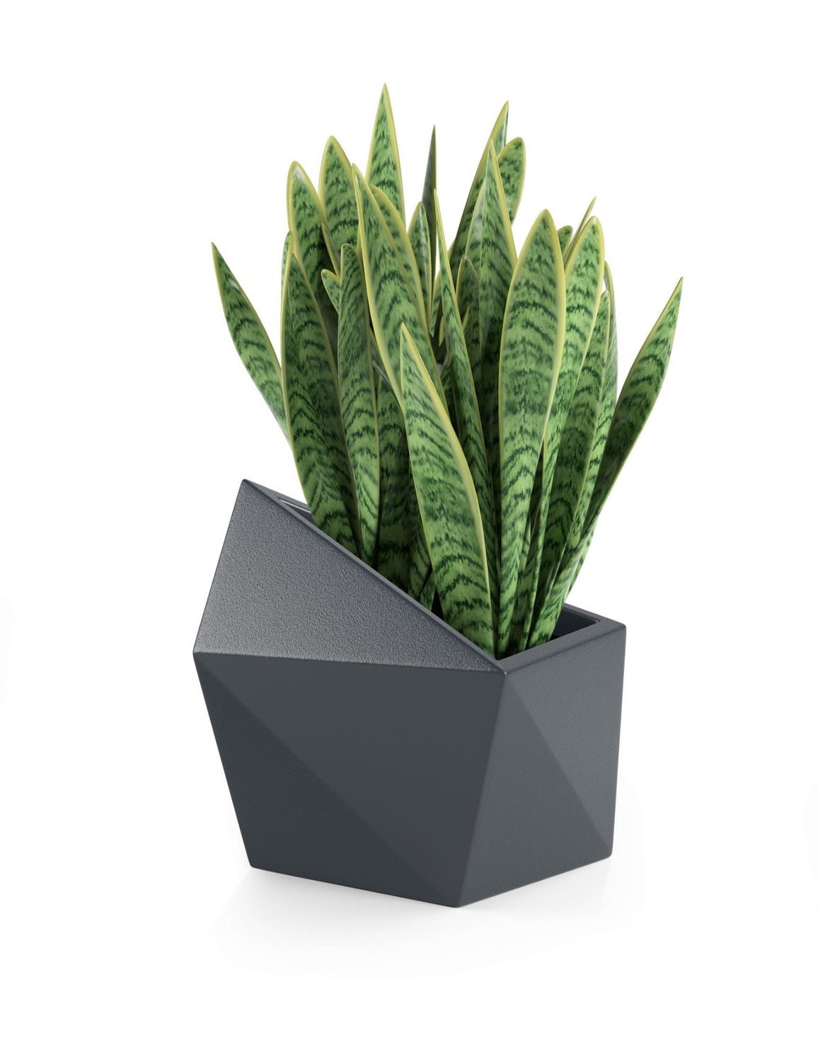 Designer pot ASTRO 47cm height, anthracite