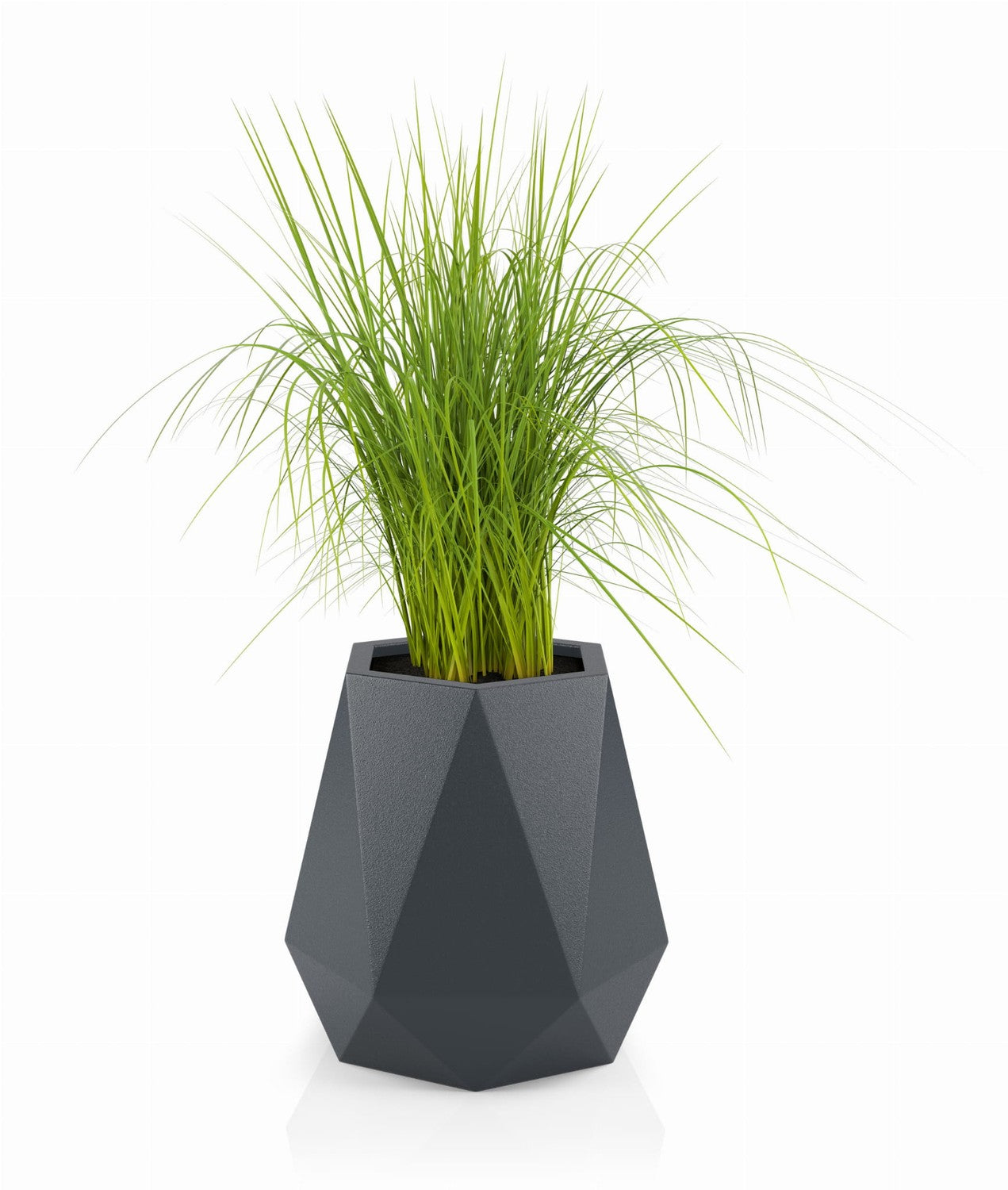 Designer pot FLAVI 2 color options