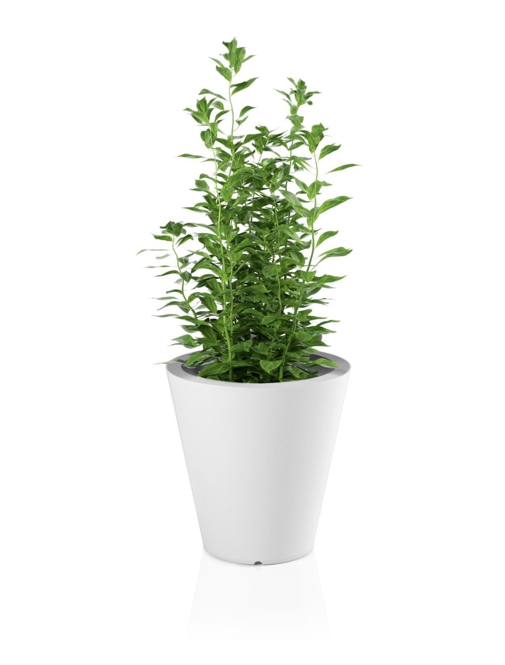Designer pot OVO White