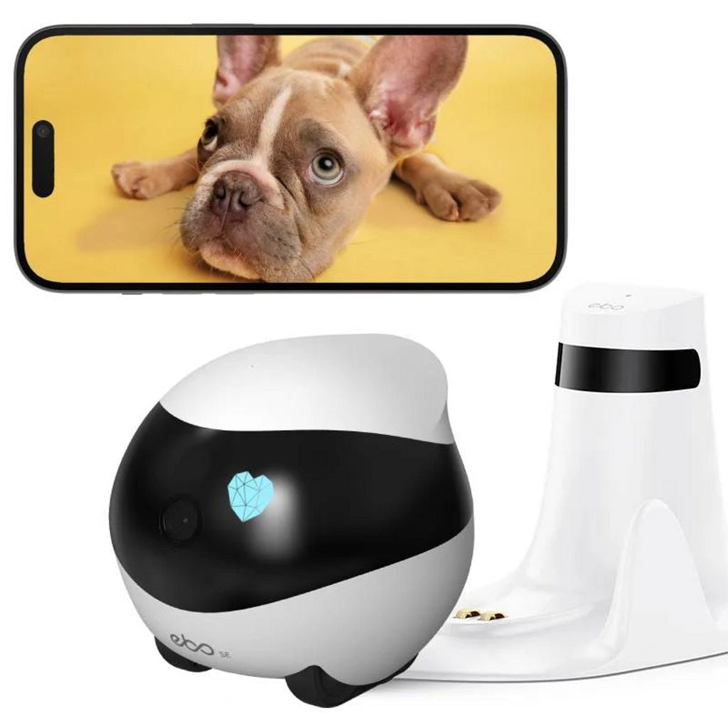 EBO SE Smart Home Moving Robot