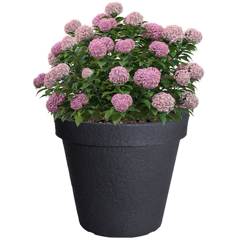 Elegant Anthracite Pot for Modern Garden