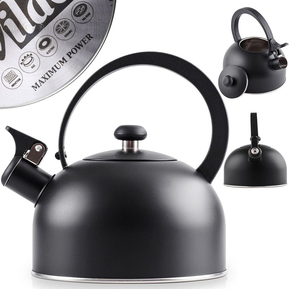 Elegant Kettle in Matt Black Stainless Steel