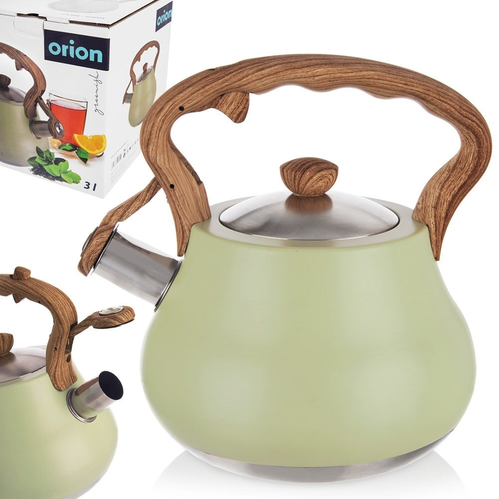 Kettle with whistle, steel, GREENISH, 3 l