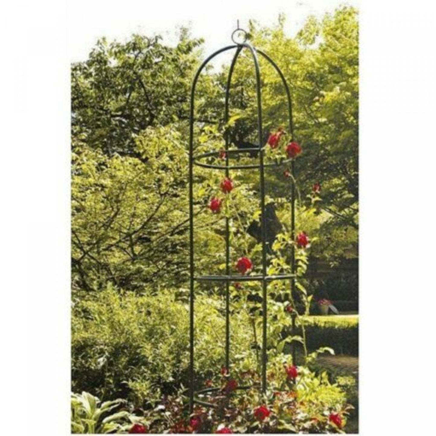 Kinzo Garden Rose Column - Green 185x40cm