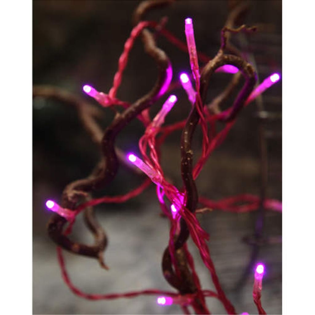 LED string light TRENDLITES / 15 LED / 2.10 M / BATTERY / TIMER / pink