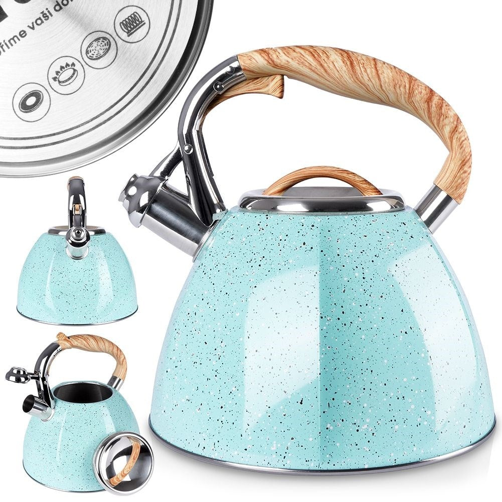 Modern Kettle with Automatic Whistle