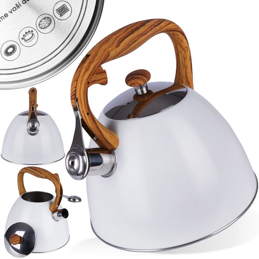 Modern Kettle with Automatic Whistle