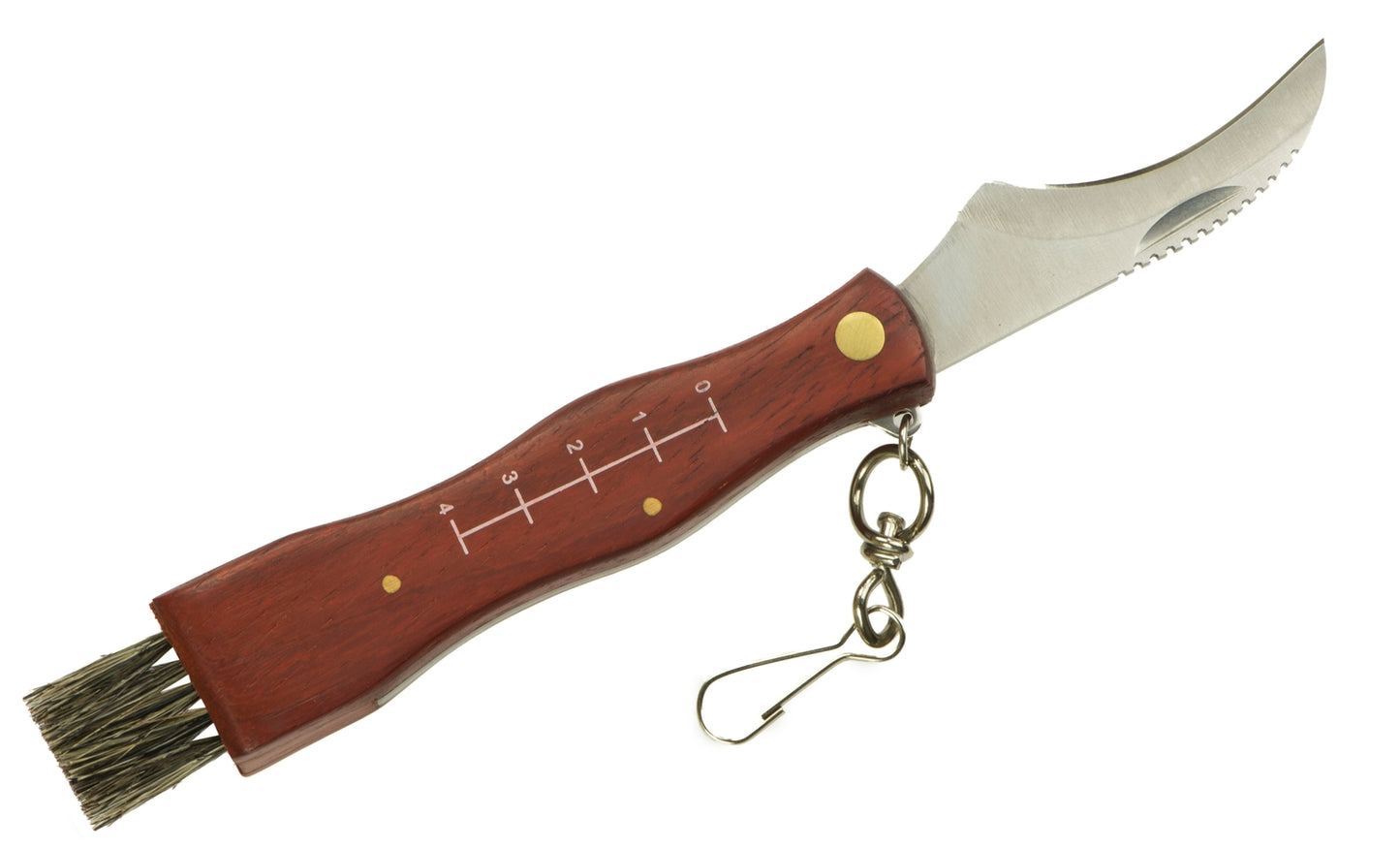 Mushroom picking pocket knife for mushrooms
