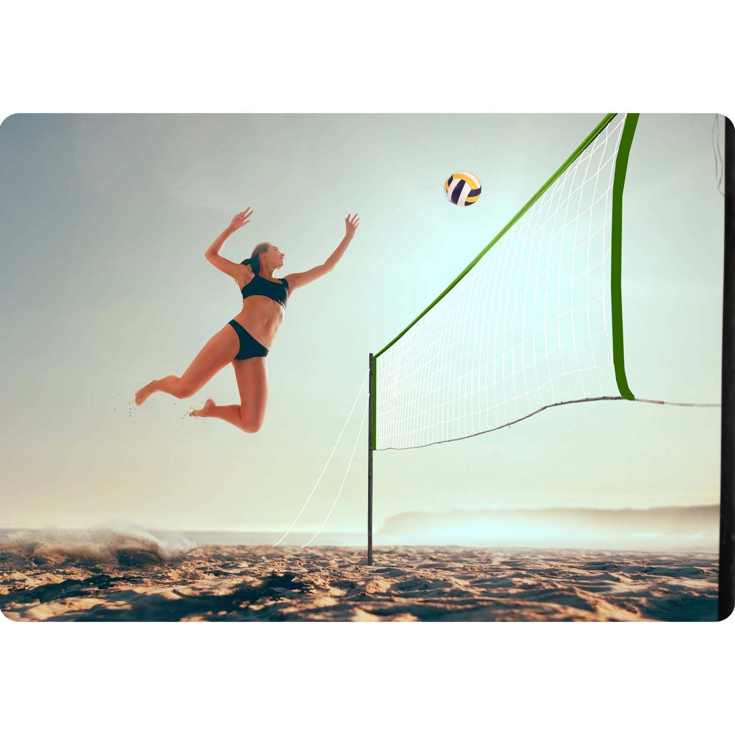 Net and stand for volleyball and badminton, 570 cm