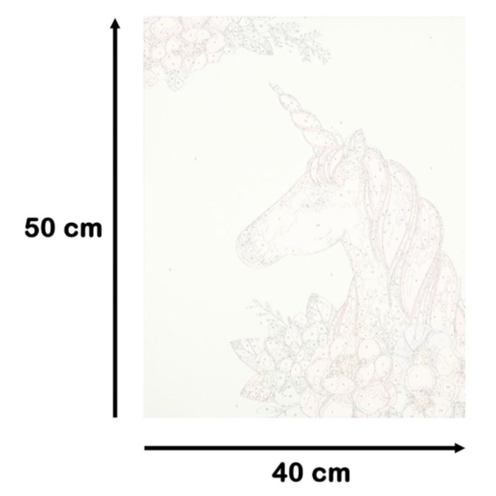 Painting by numbers 40x50cm unicorn
