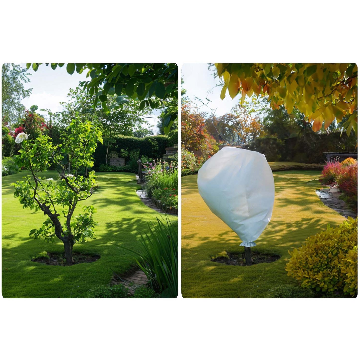 Protective fabric for plants 1000 cm x 160 cm Plonos - white
