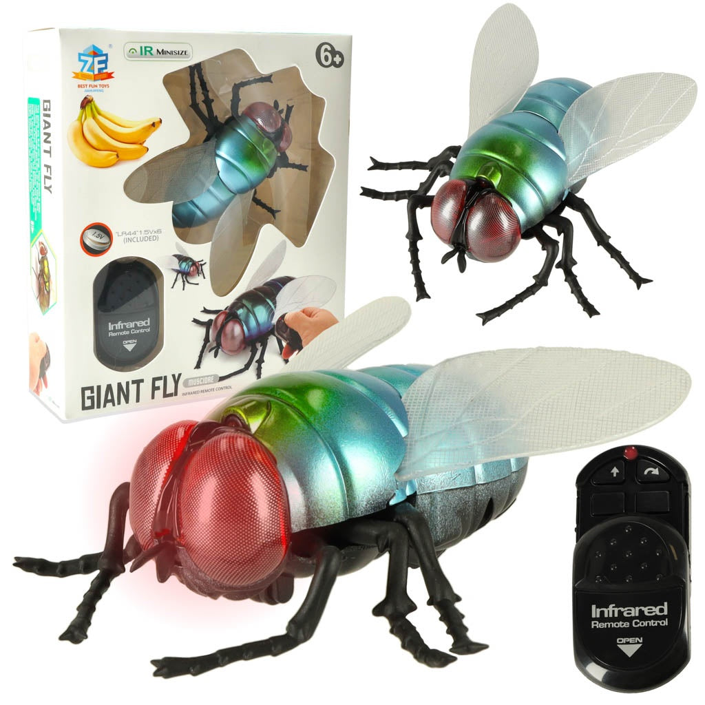 RC remote control fly + remote control