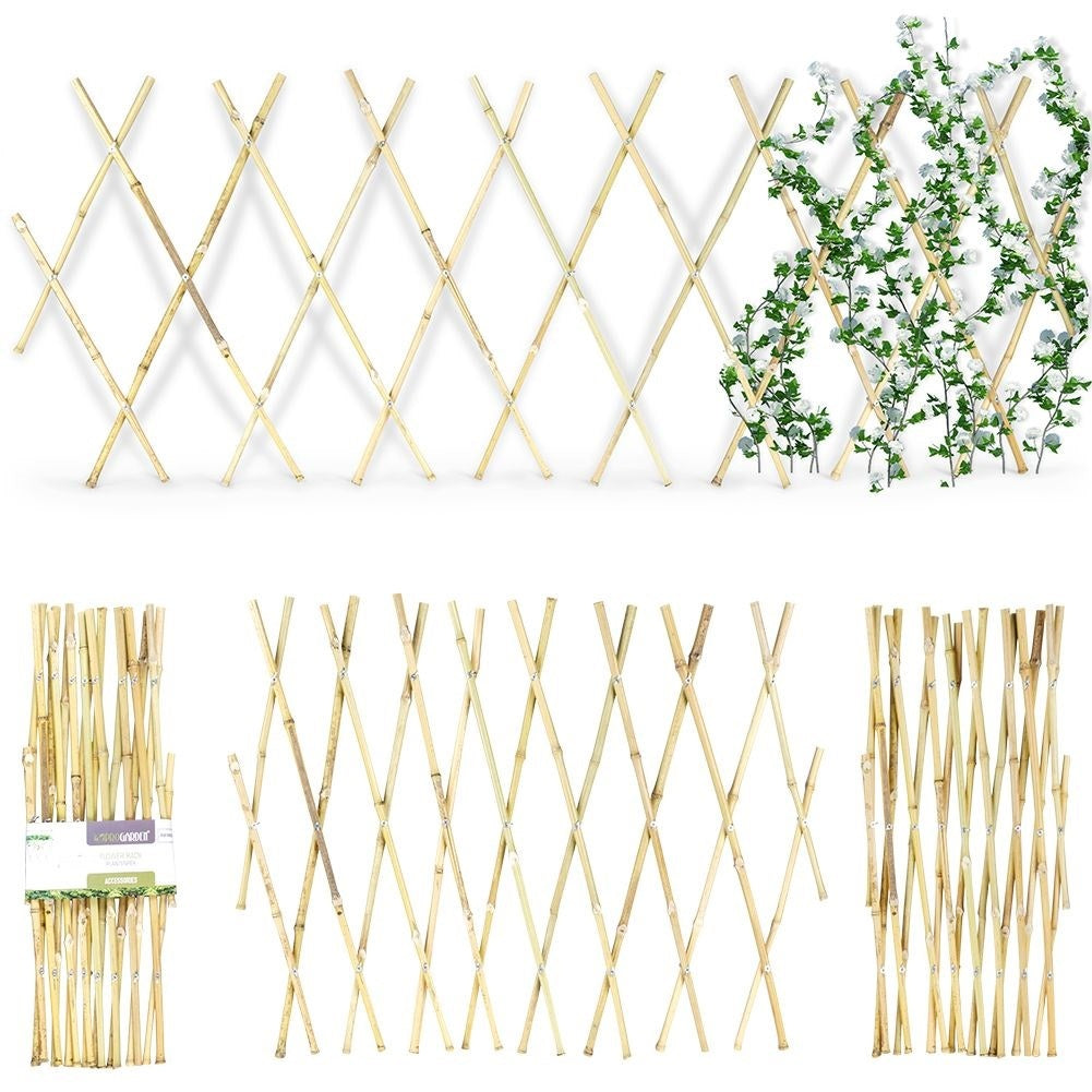 Retractable bamboo trellis for climbing plants in the garden
