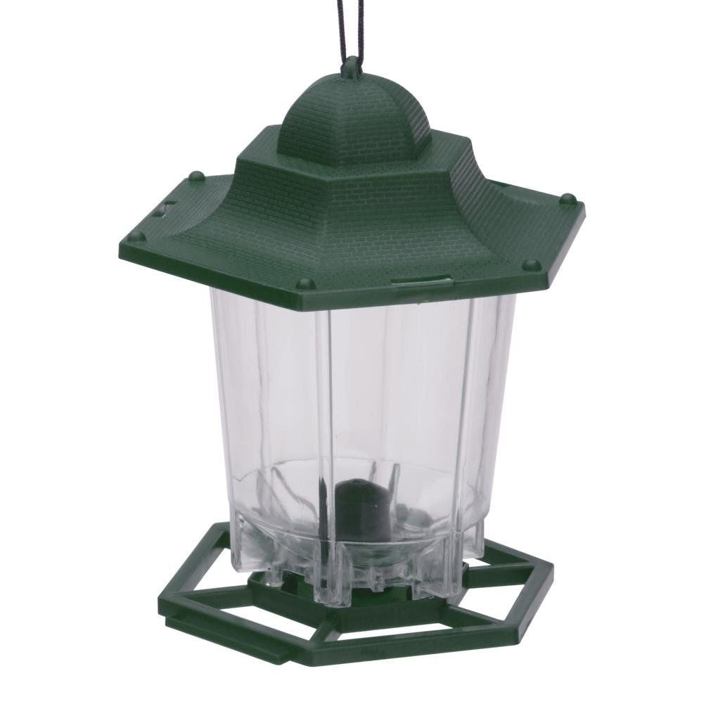 Seed Bird Feeders: Feed Wild Birds Year Round