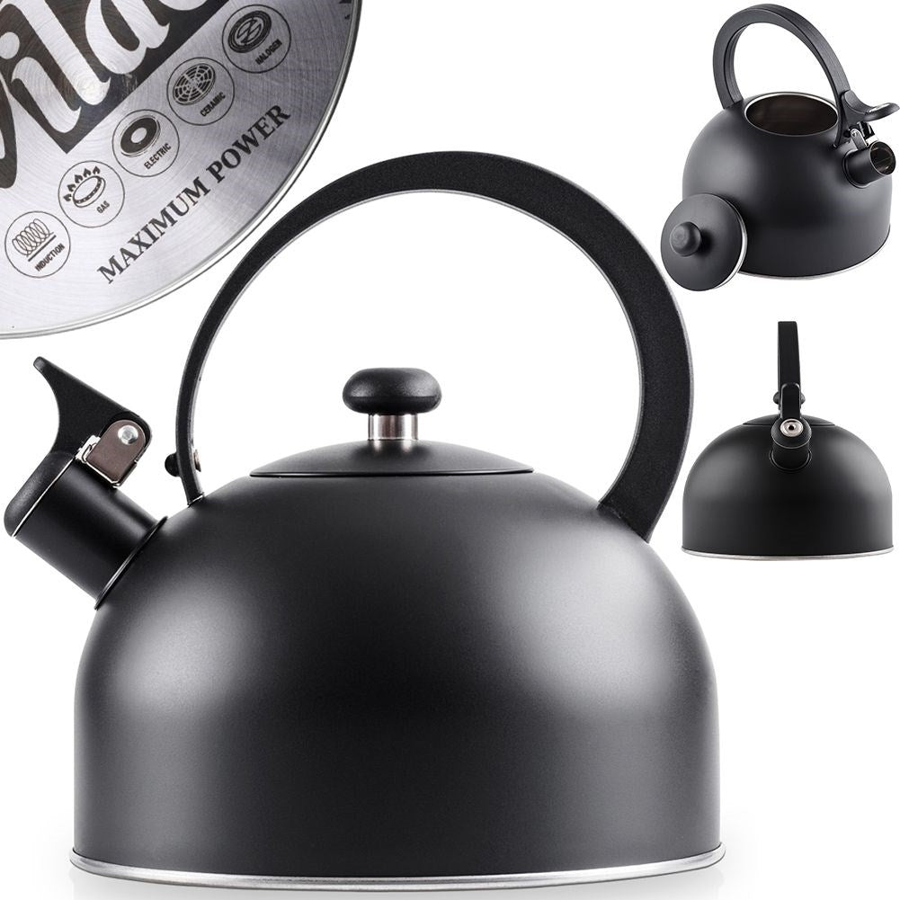 Stainless Steel Kettle with Folding Whistle