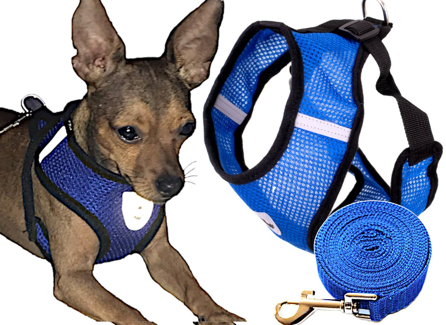 Tensionless dog harness + leash M