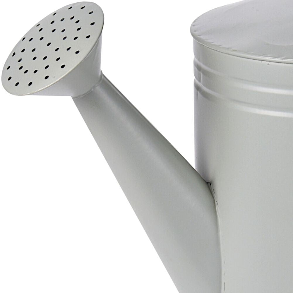 Unique metal watering can for decorative garden and terrace