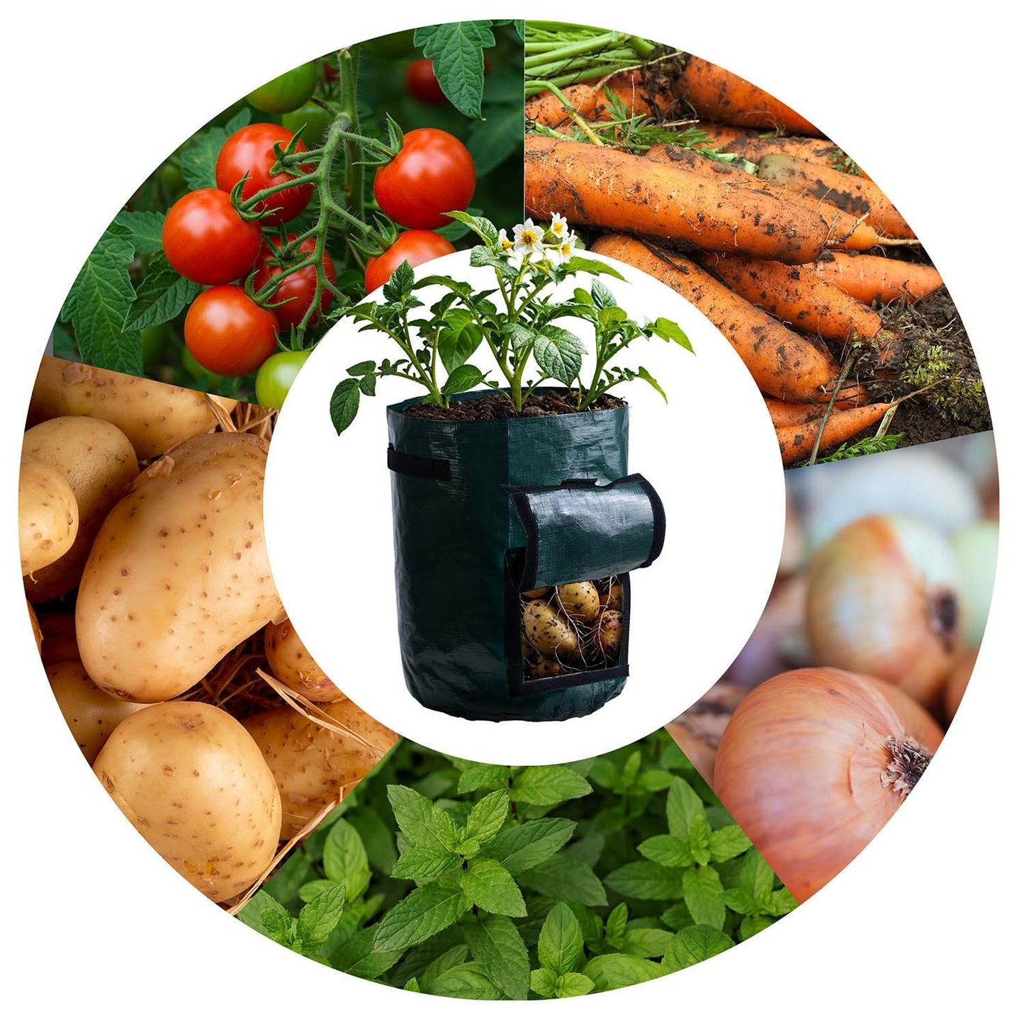 Vegetable growing bag 43 l Plonos PL-964