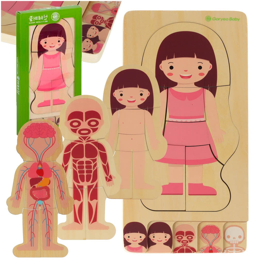 Wooden layered puzzle body building montessori girl