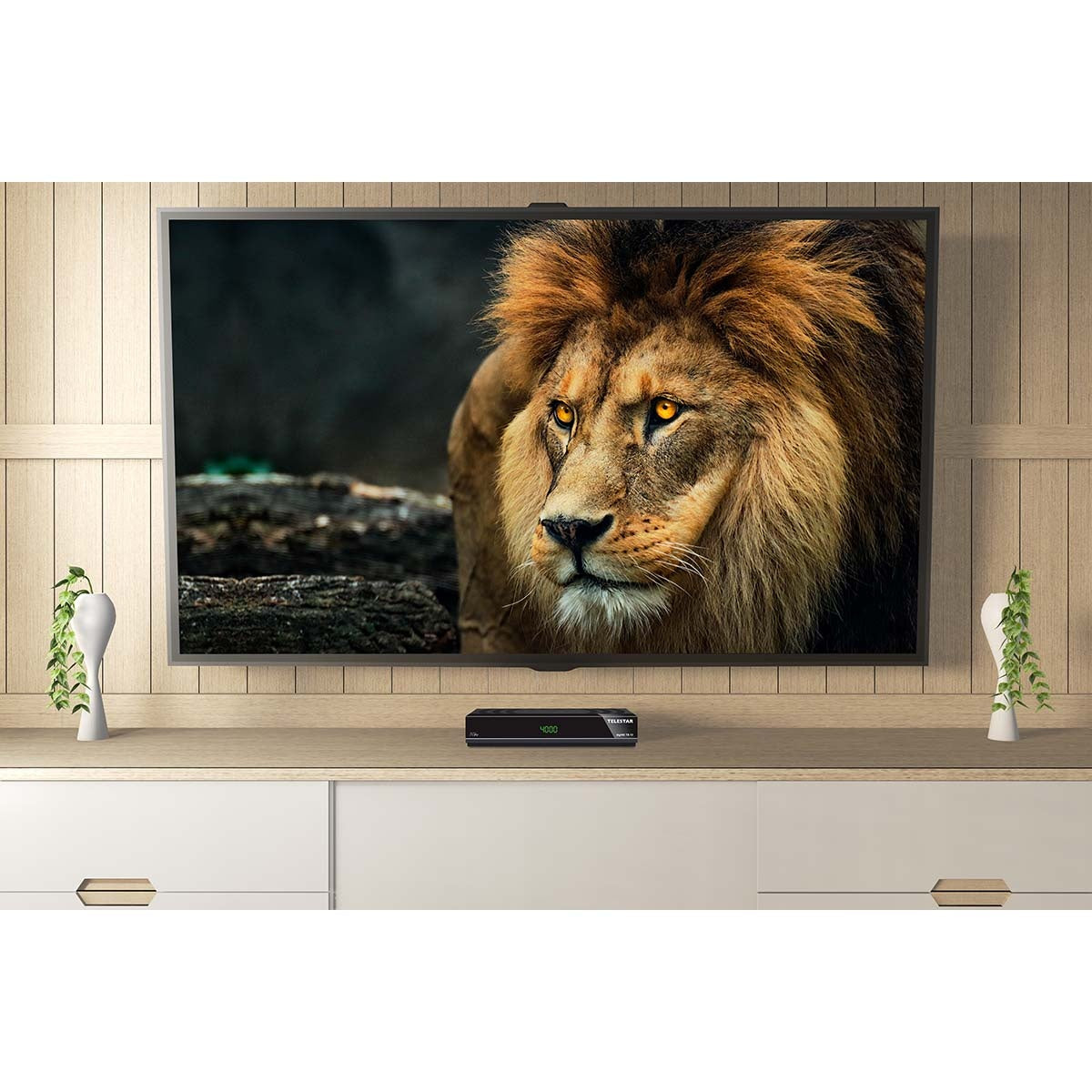 digiHD TS 13 HDTV Satellite Receiver