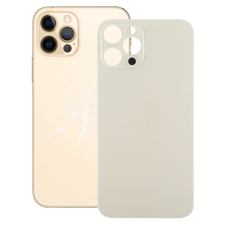 iPhone 12 Pro Max Back Cover - Gold