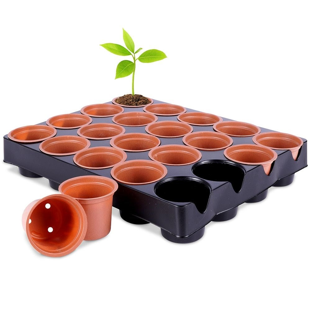 20 small pots on a tray for sowing seeds and seedlings