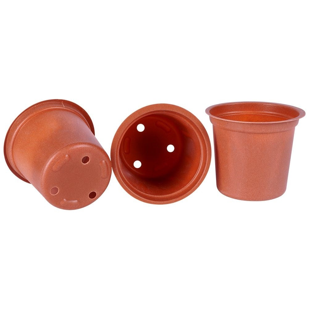 20 small pots on a tray for sowing seeds and seedlings