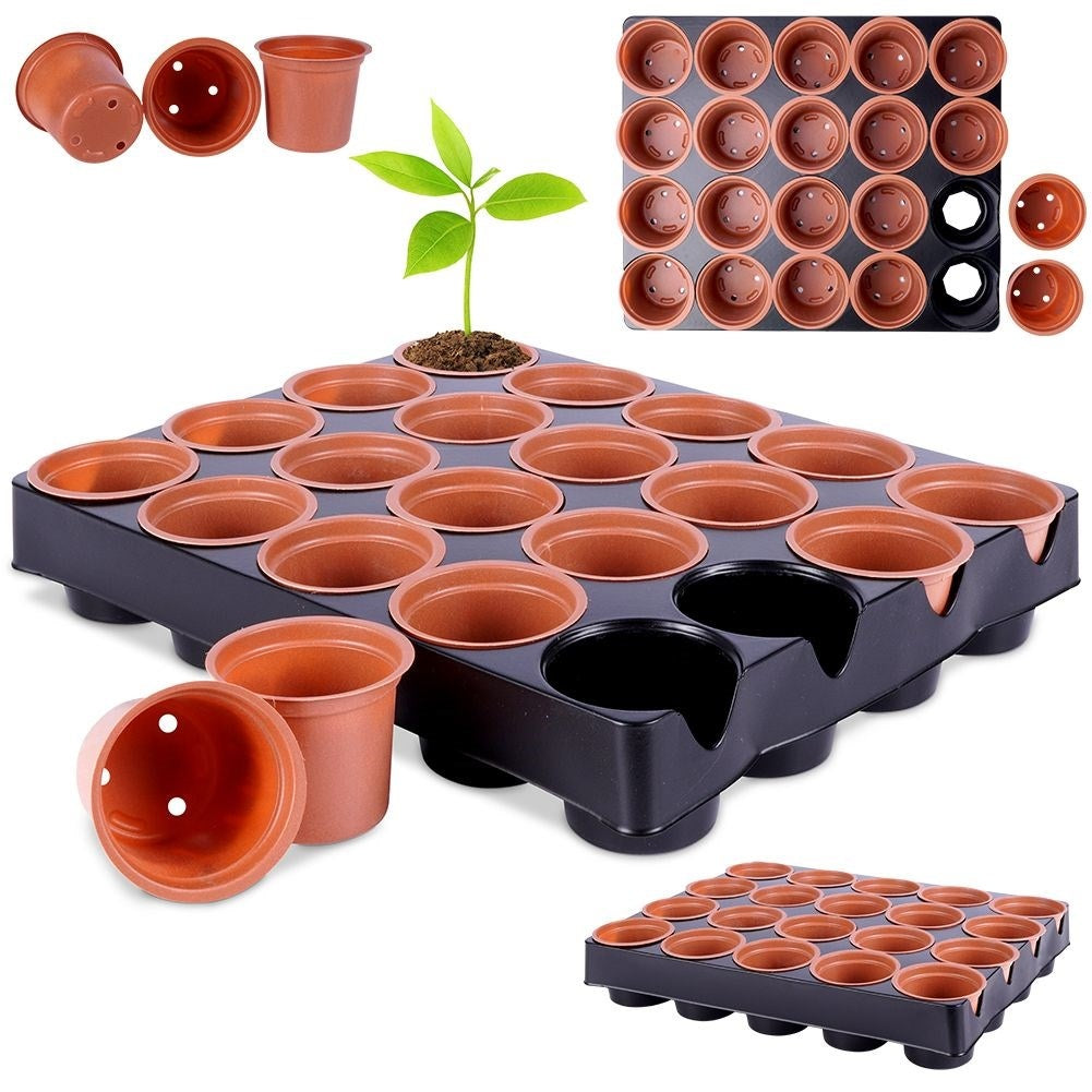 20 small pots on a tray for sowing seeds and seedlings