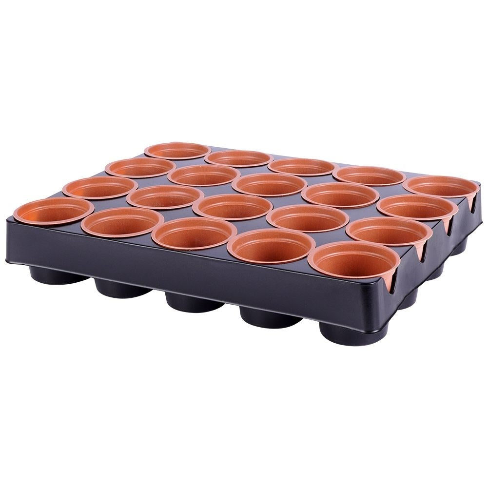 20 small pots on a tray for sowing seeds and seedlings