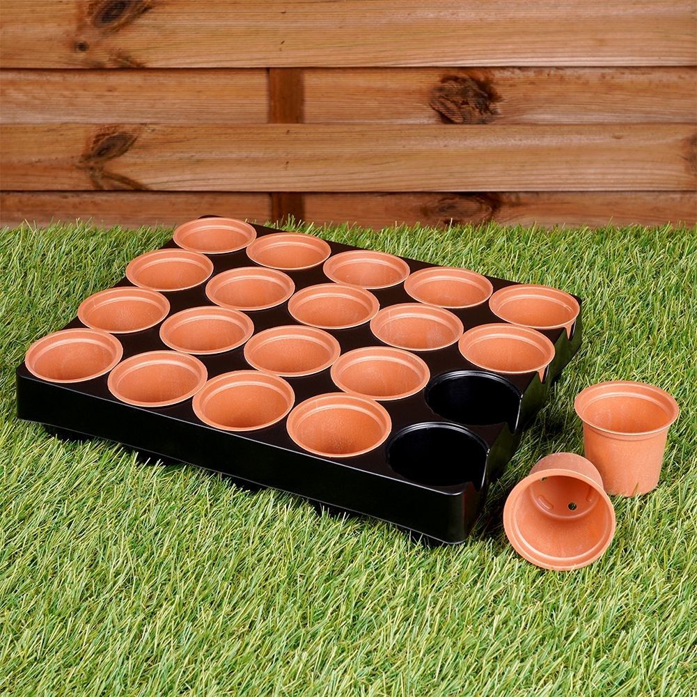 20 small pots on a tray for sowing seeds and seedlings