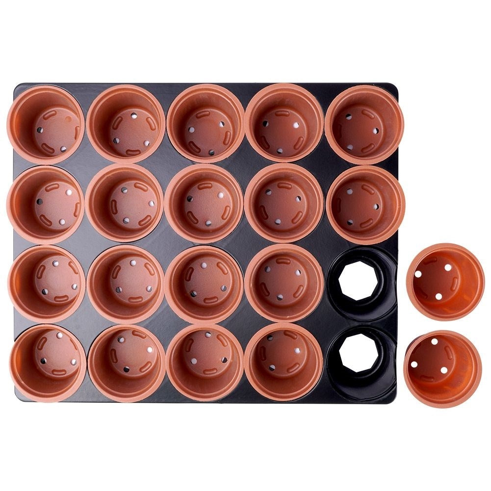 20 small pots on a tray for sowing seeds and seedlings