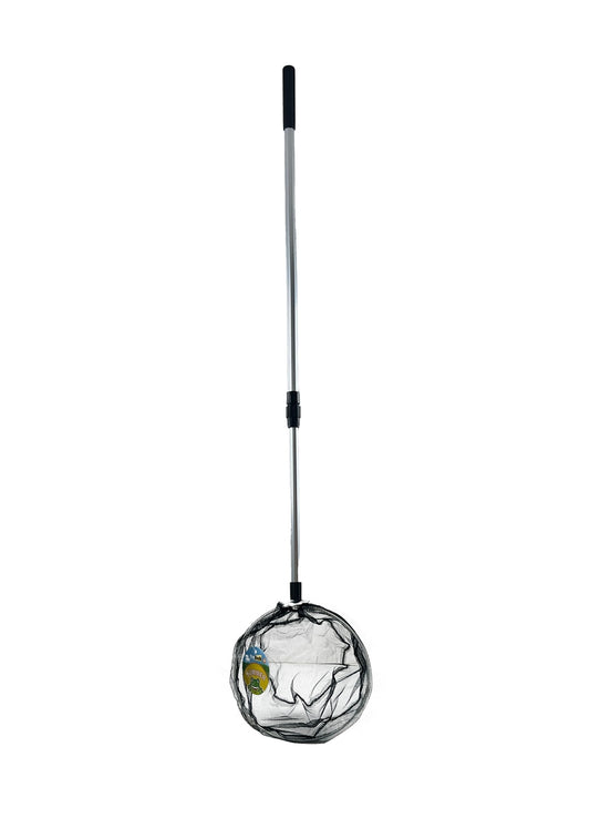 Insect Catching Net, 24cm Diameter, 150cm Handle