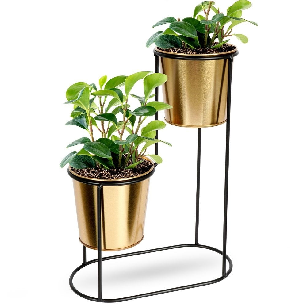 2-level plant stand in black metal with gold details