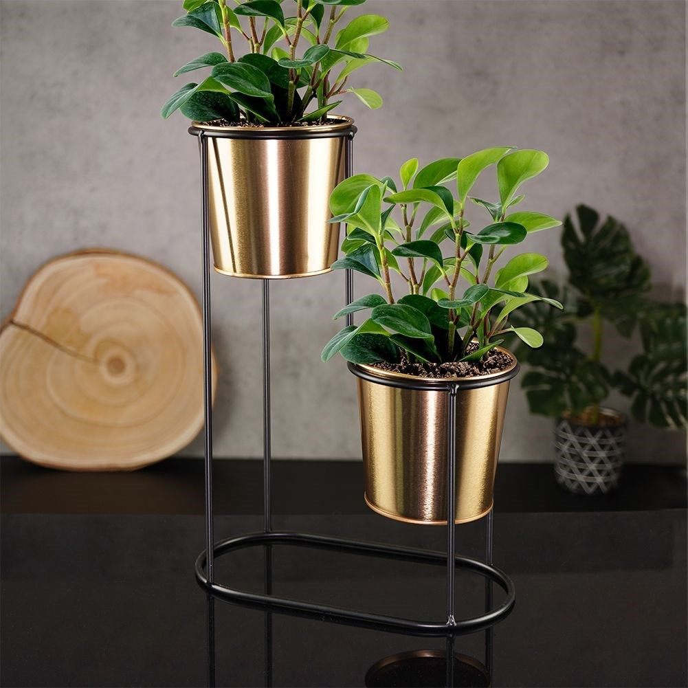 2-level plant stand in black metal with gold details