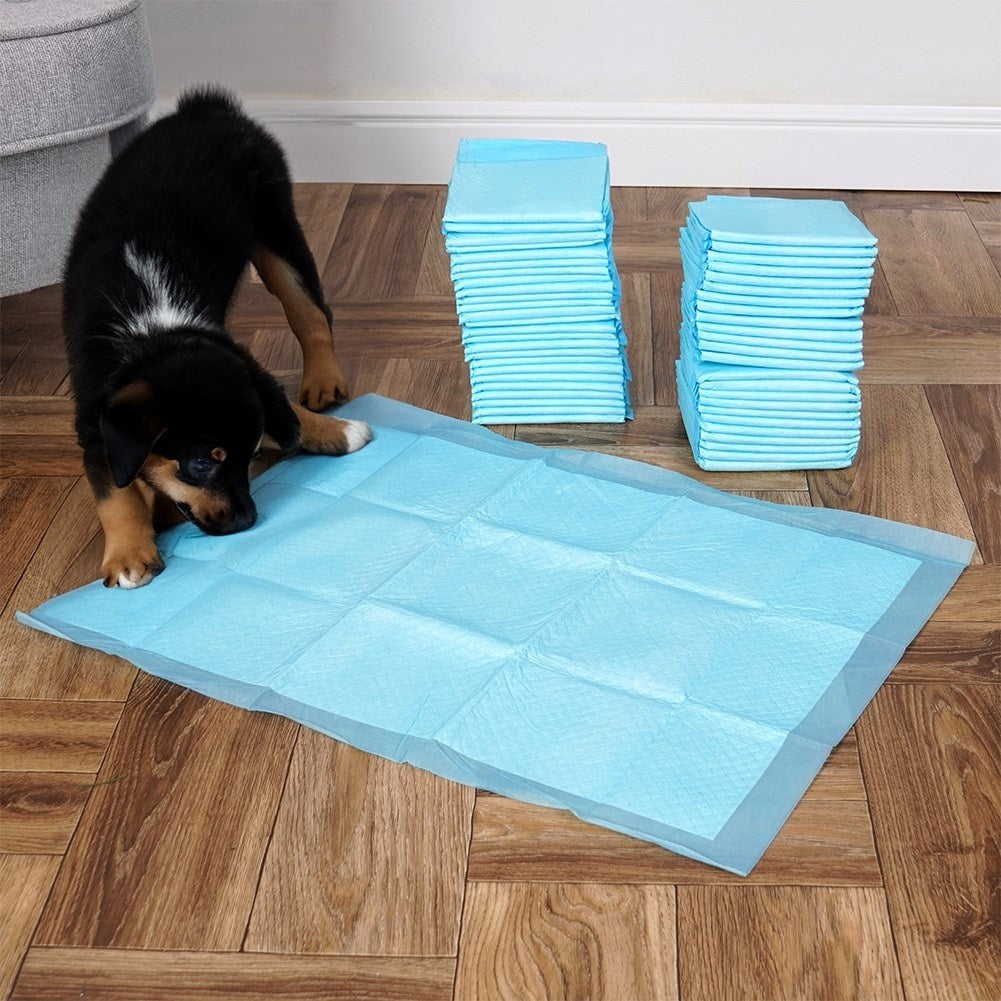 50-pack absorbent dog mats, protects floor 60x45 cm