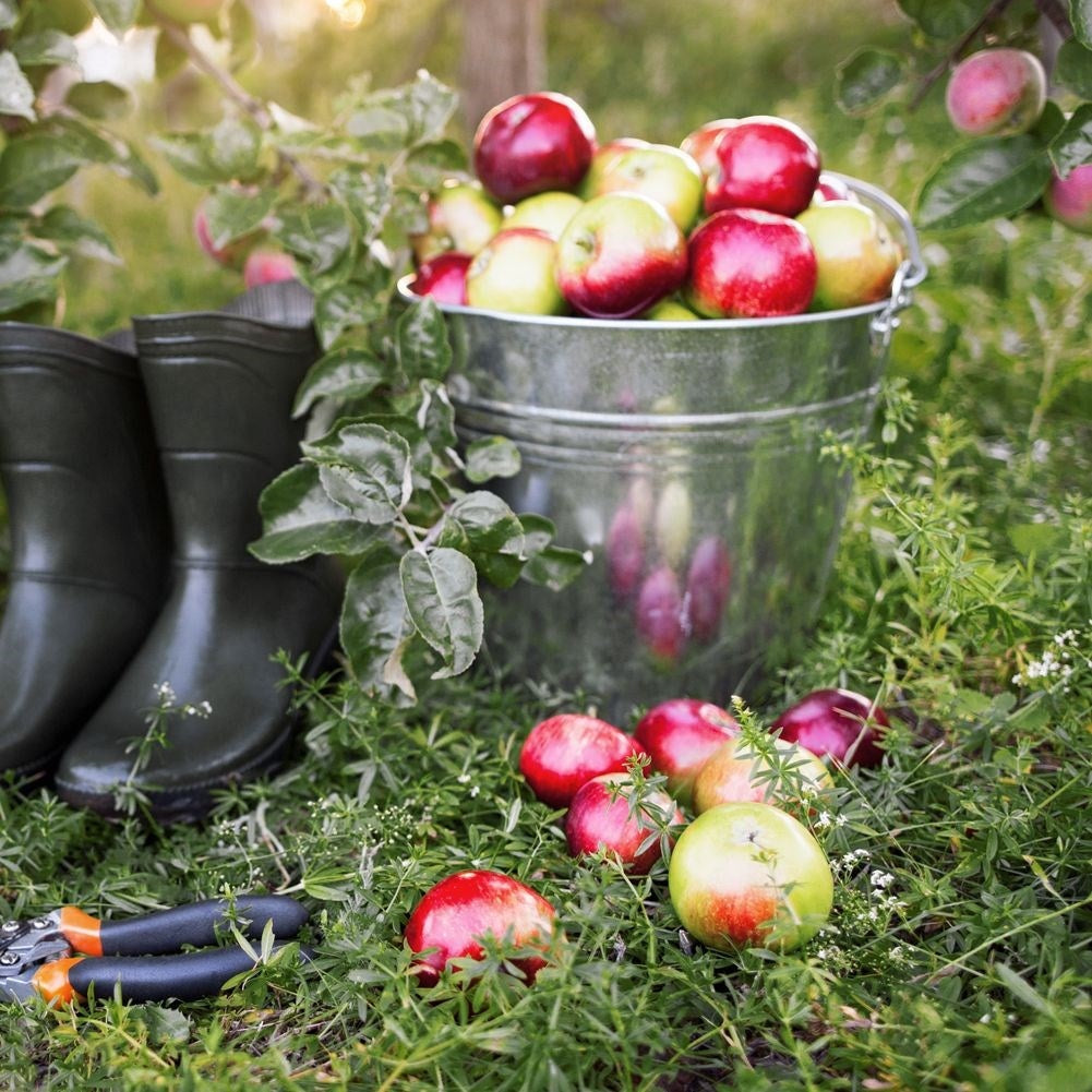 5-liter Bucket with Comfortable Handle