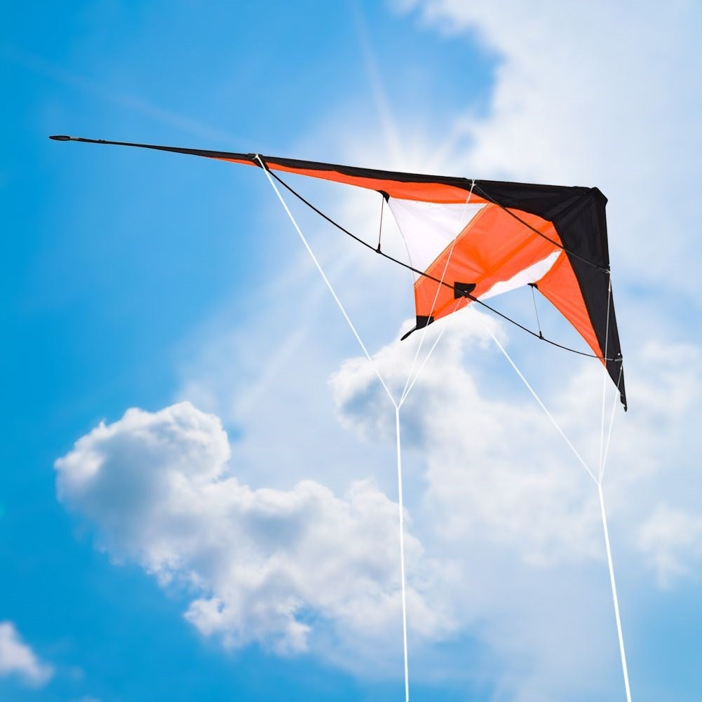 Acrobatic kite with 30m lines - impressive in the sky