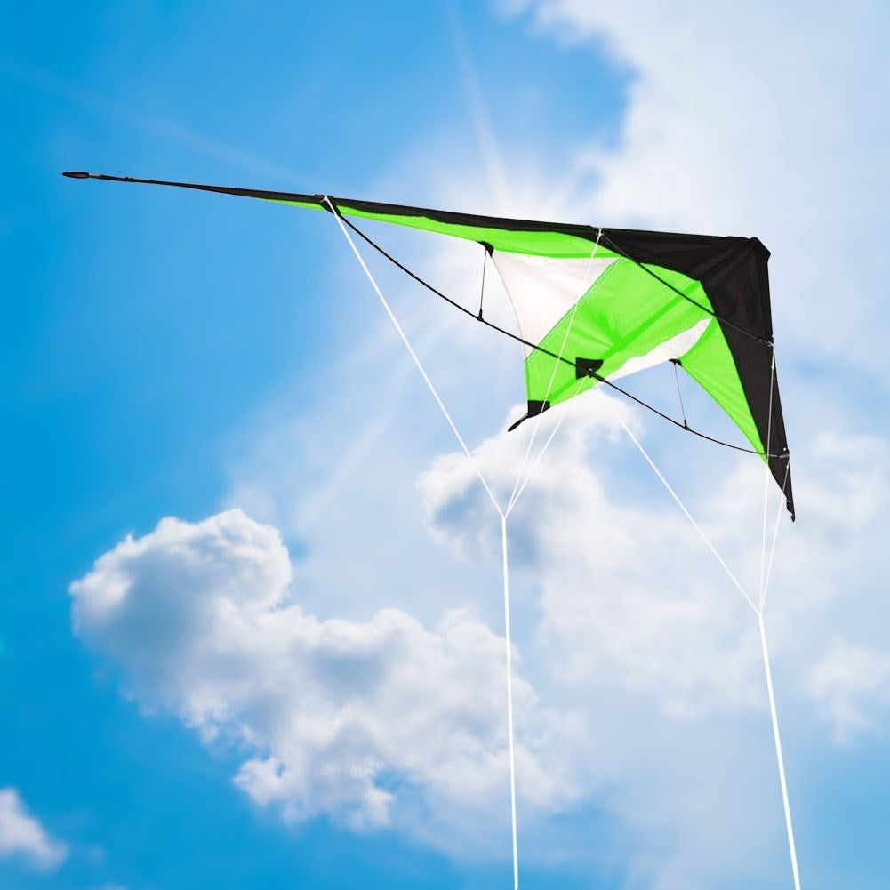Acrobatic kite with two 30m lines for fantastic entertainment