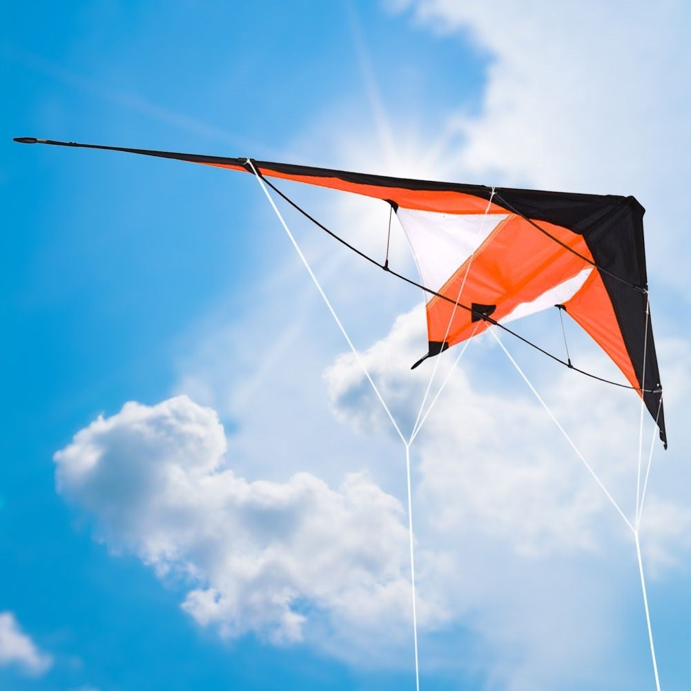 Acrobatic kite with two 30m ropes - for children and adults
