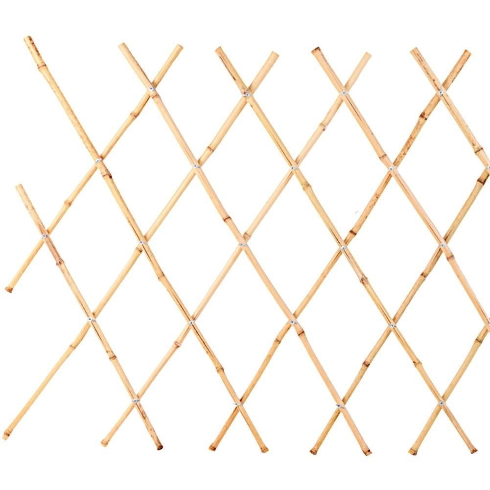 Adjustable Trellis for Climbing Plants - Bamboo Plant Support