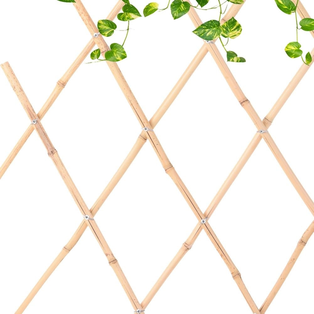 Adjustable Trellis for Climbing Plants - Bamboo Plant Support