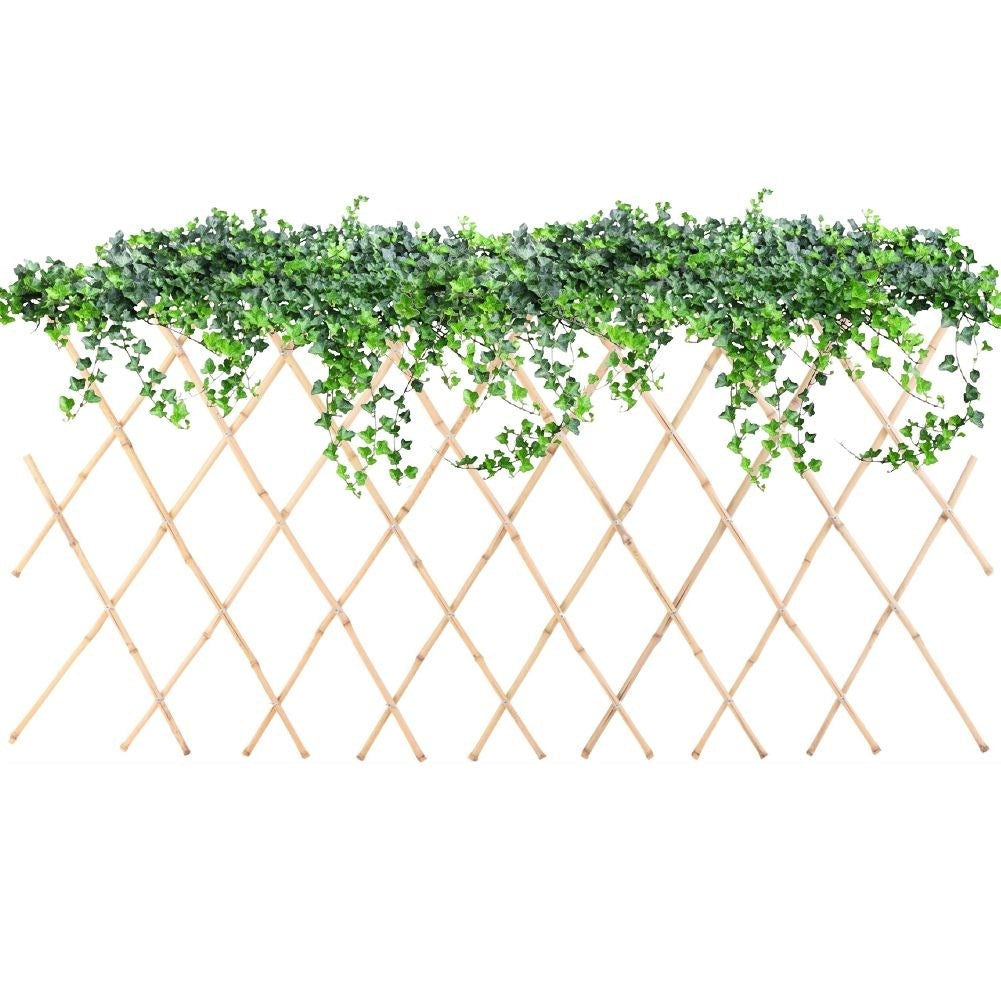 Adjustable Trellis for Climbing Plants - Bamboo Plant Support
