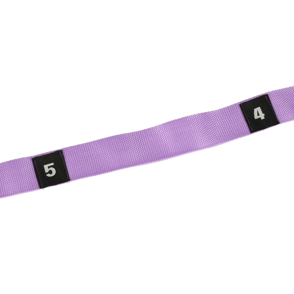 Aerial Yoga Hammock Sling, 100kg Capacity