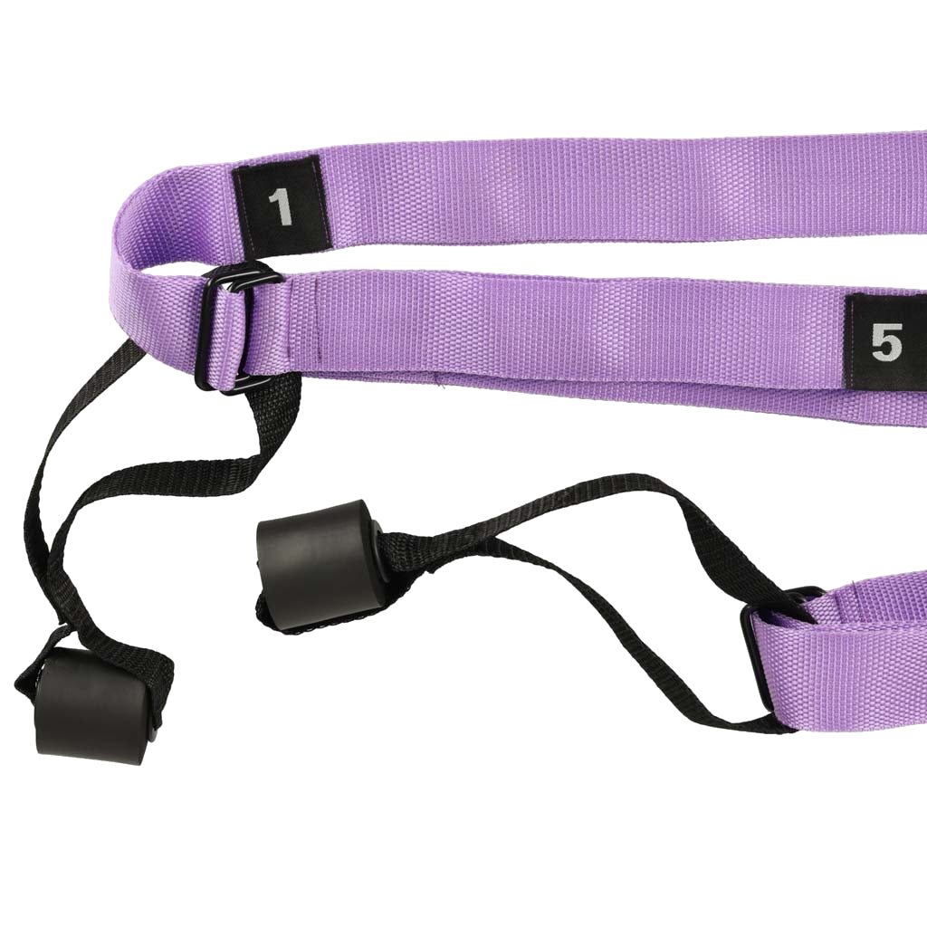 Aerial Yoga Hammock Sling, 100kg Capacity