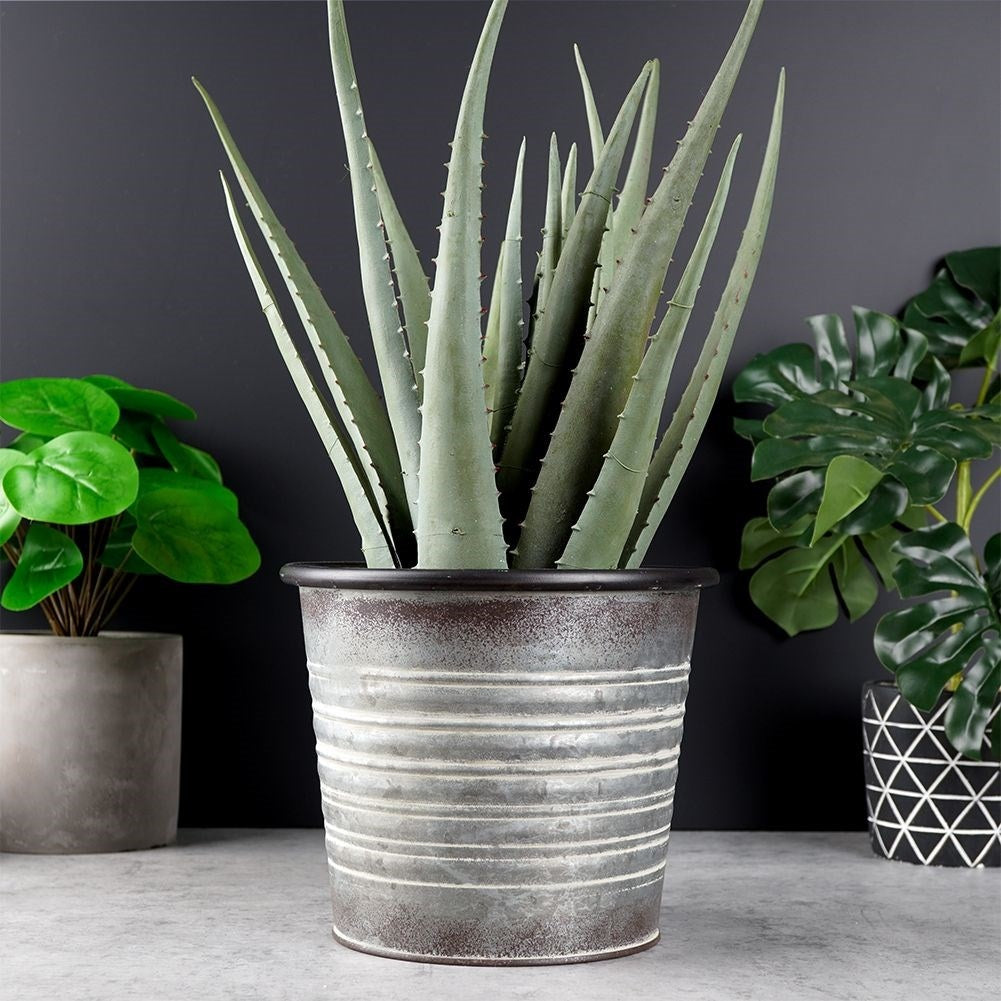 Antique galvanized metal pot with rusty finish