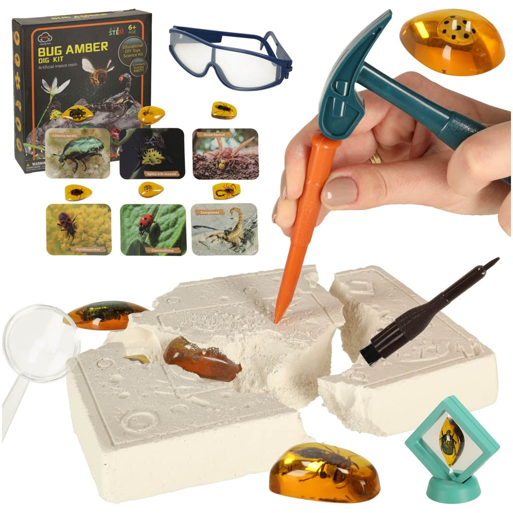 Archaeological excavation set insects in amber